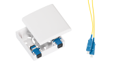 NMF-WO02LCAS2-CS-WT NMF-WO02LCAS2-CS-WT